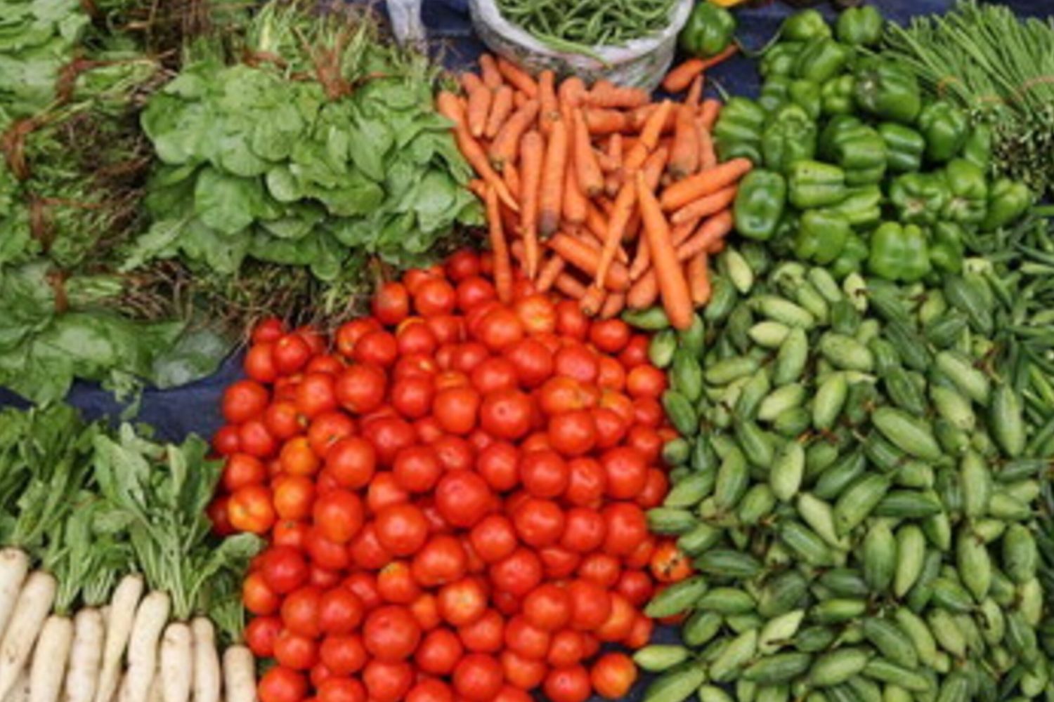 Dieta vegetale e EAT-Lancet: perchè ci guadagnano i reni