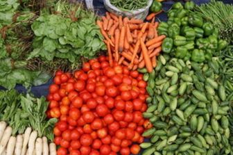 Dieta vegetale e EAT-Lancet: perchè ci guadagnano i reni