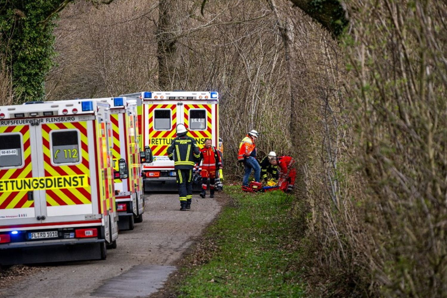 Bosco in località Mittelangeln in Germania