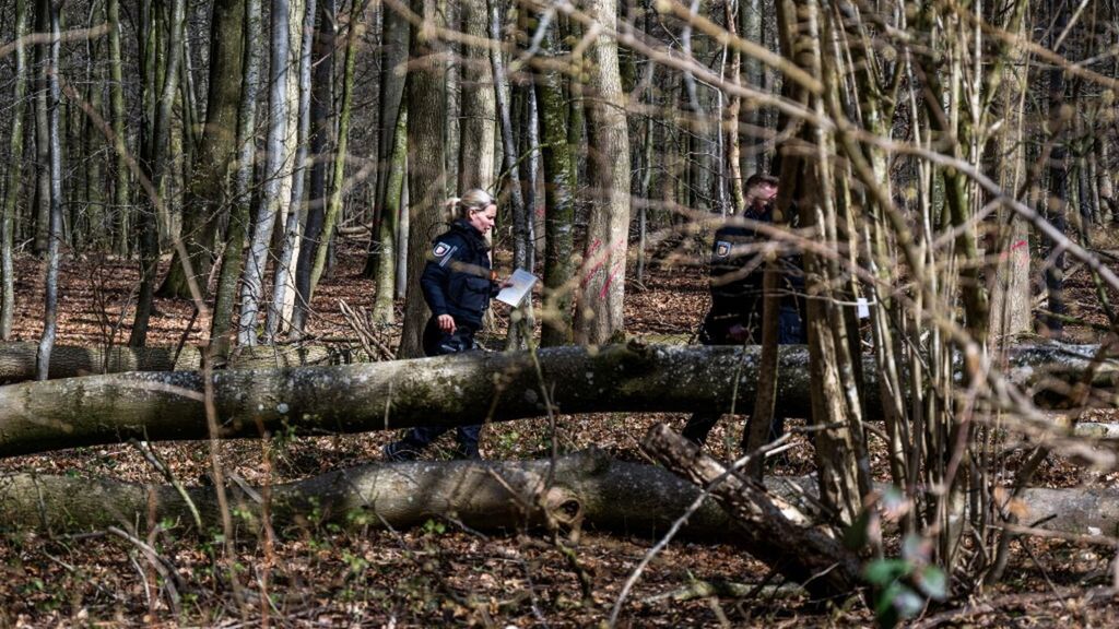 L'albero caduto in località Mittelangeln in Germania