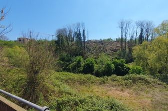 La collina disboscata