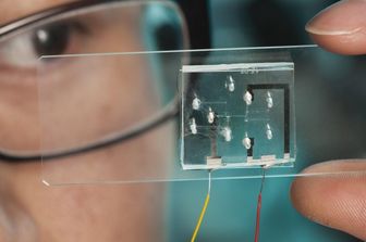 Scienziati alla prese con i chip