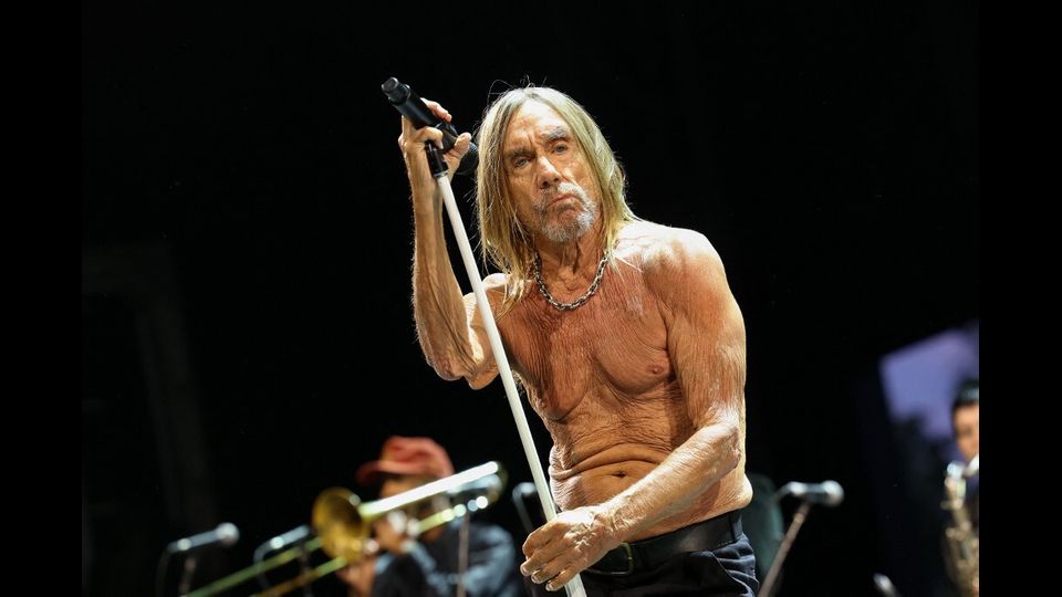 Iggy Pop