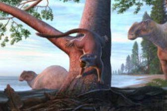 mammifero preistorico criceto