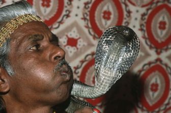 Uno spettacolo di un incantatore di serpenti