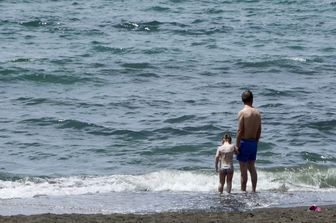 Mare