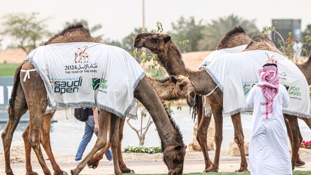 Riyadh Golf Club di Riyadh