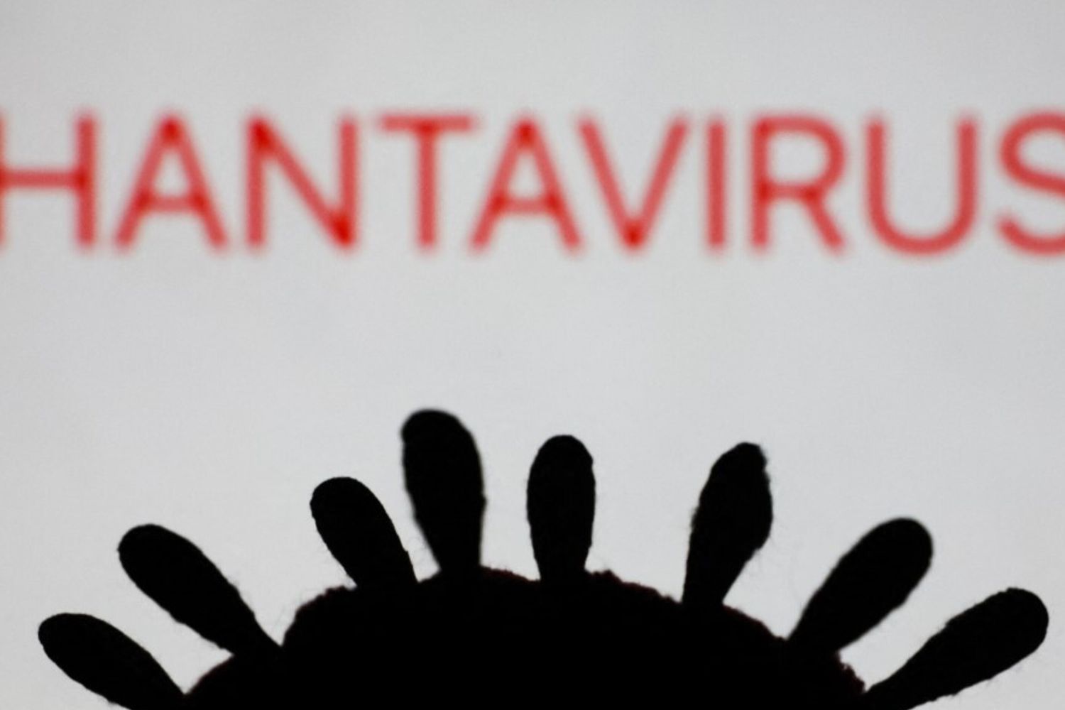 Hantavirus