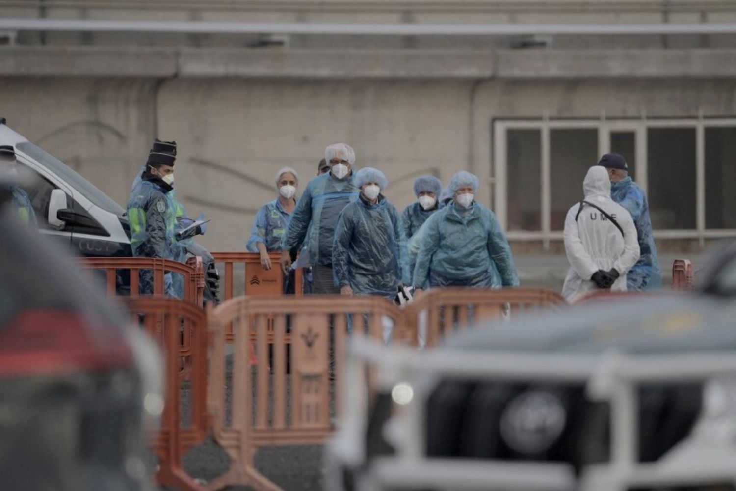 Hantavirus, peggiorano le condizioni di una passeggera francese della Mv Hondius