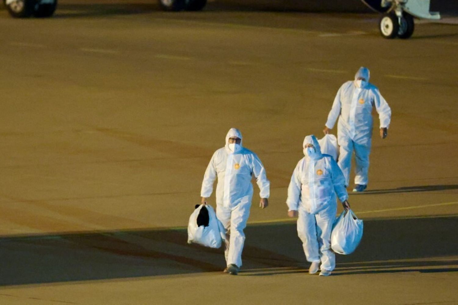 La MV Hondius in vaggio verso i Paesi Bassi. Atterrati a Rotterdam i due aerei con gli ultimi evacuati