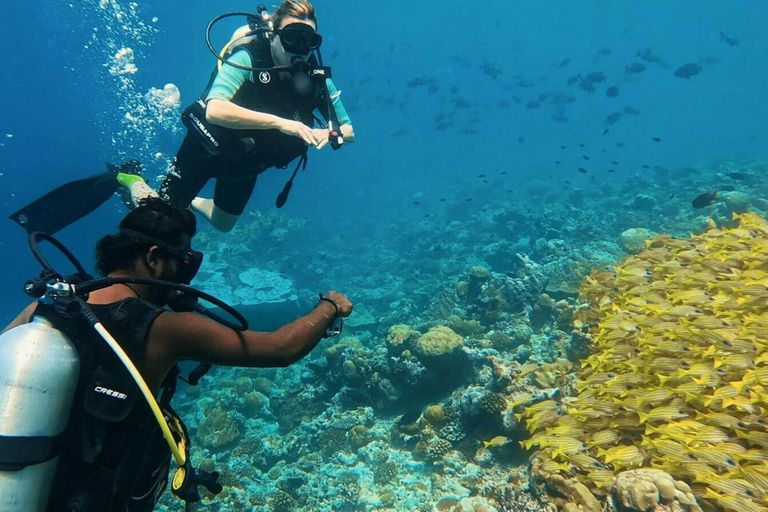 Sub in immersione alle Maldive