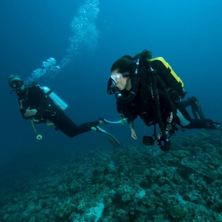 Sub alle Maldive