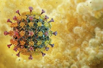 Virus