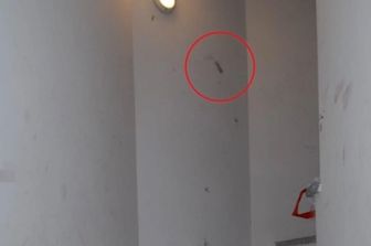 Impronta a casa Poggi