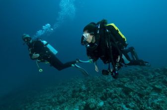 Sub alle Maldive