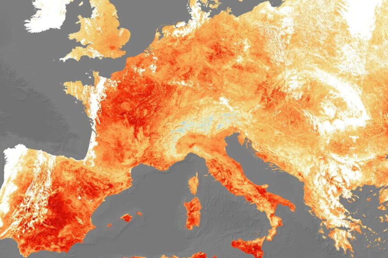 Ondata di calore