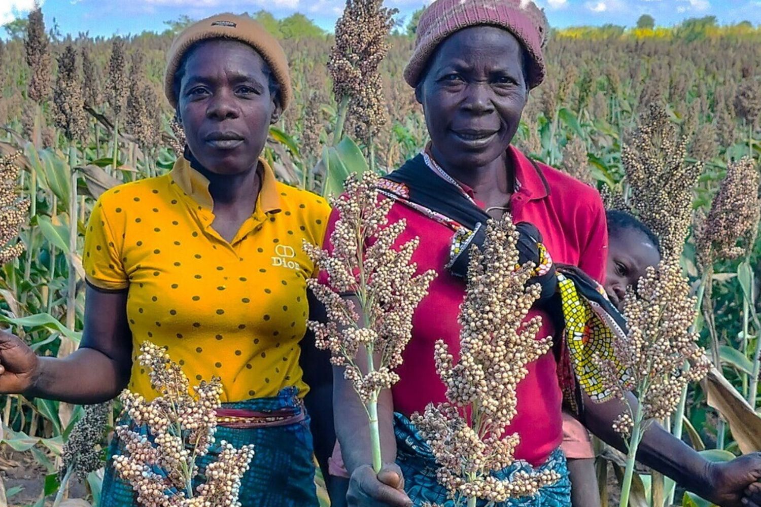 L'Unione Europea prevede di investire oltre 300 milioni di euro in Mozambico.