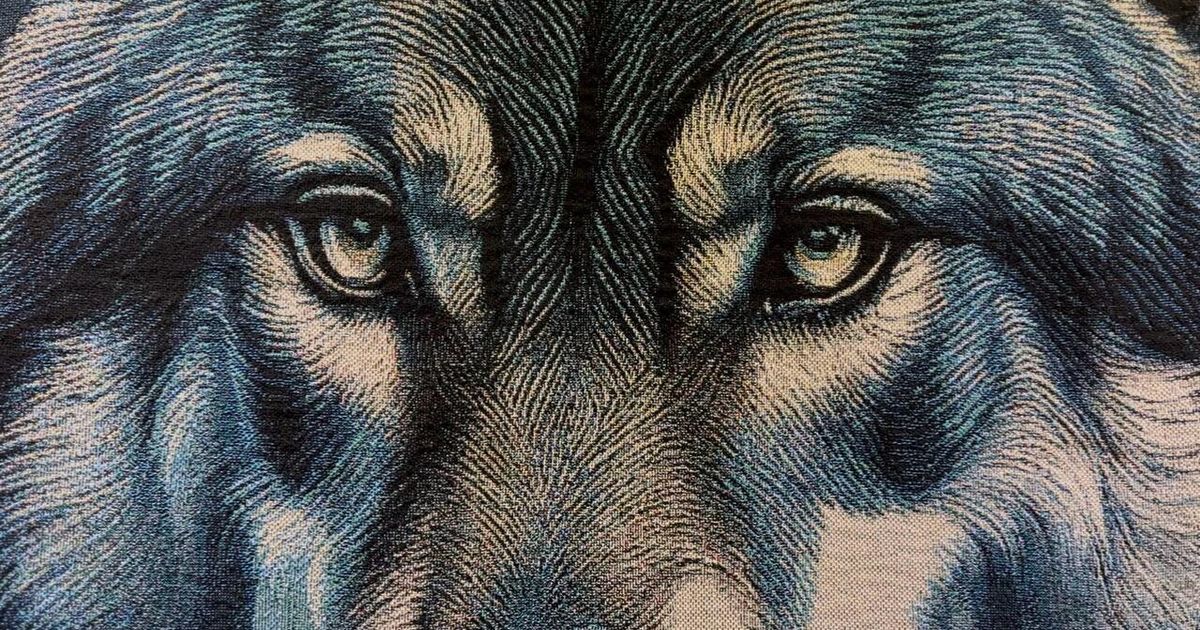 Anteprima: All’Onu la mostra “Animals for Social Justice”: arte e diritti degli animali in primo pia…