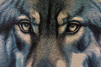 La mostra “Animals for Social Justice”