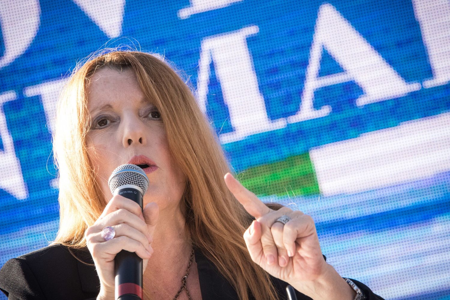 &nbsp;Michela Vittoria Brambilla