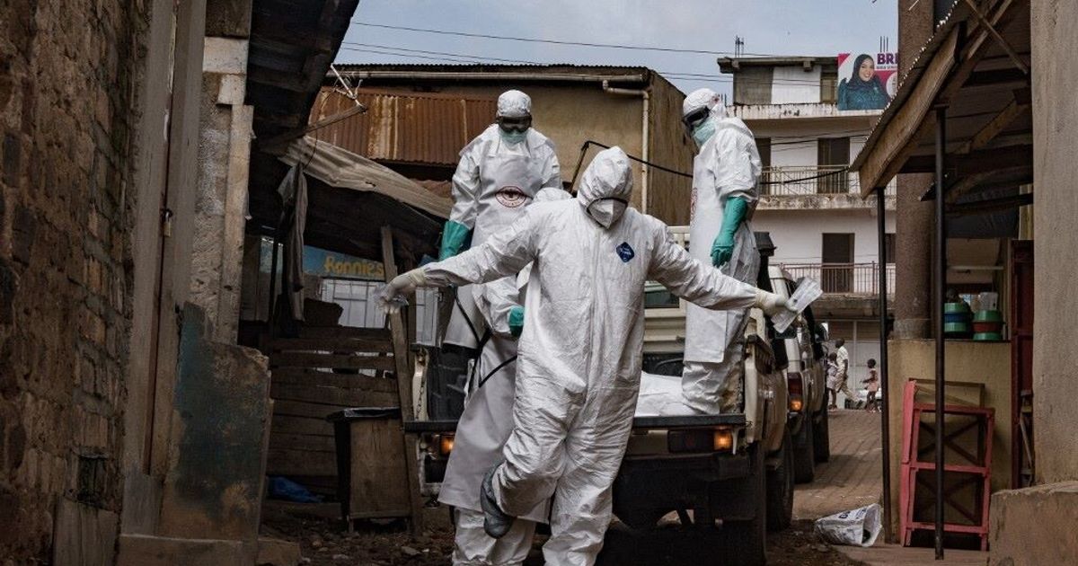 Ebola, Meloni all