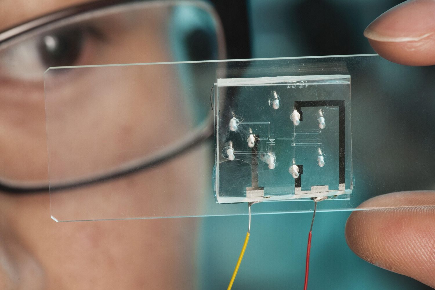 Scienziati alla prese con i chip