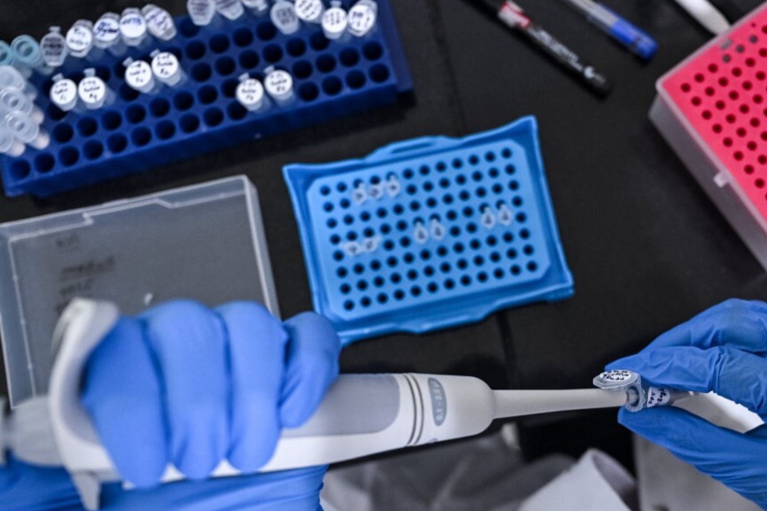 Un ricercatore al lavoro nel laboratorio di vaccini