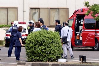 Un orso ha fatto chiudere 100 scuole a Utsunomiya
