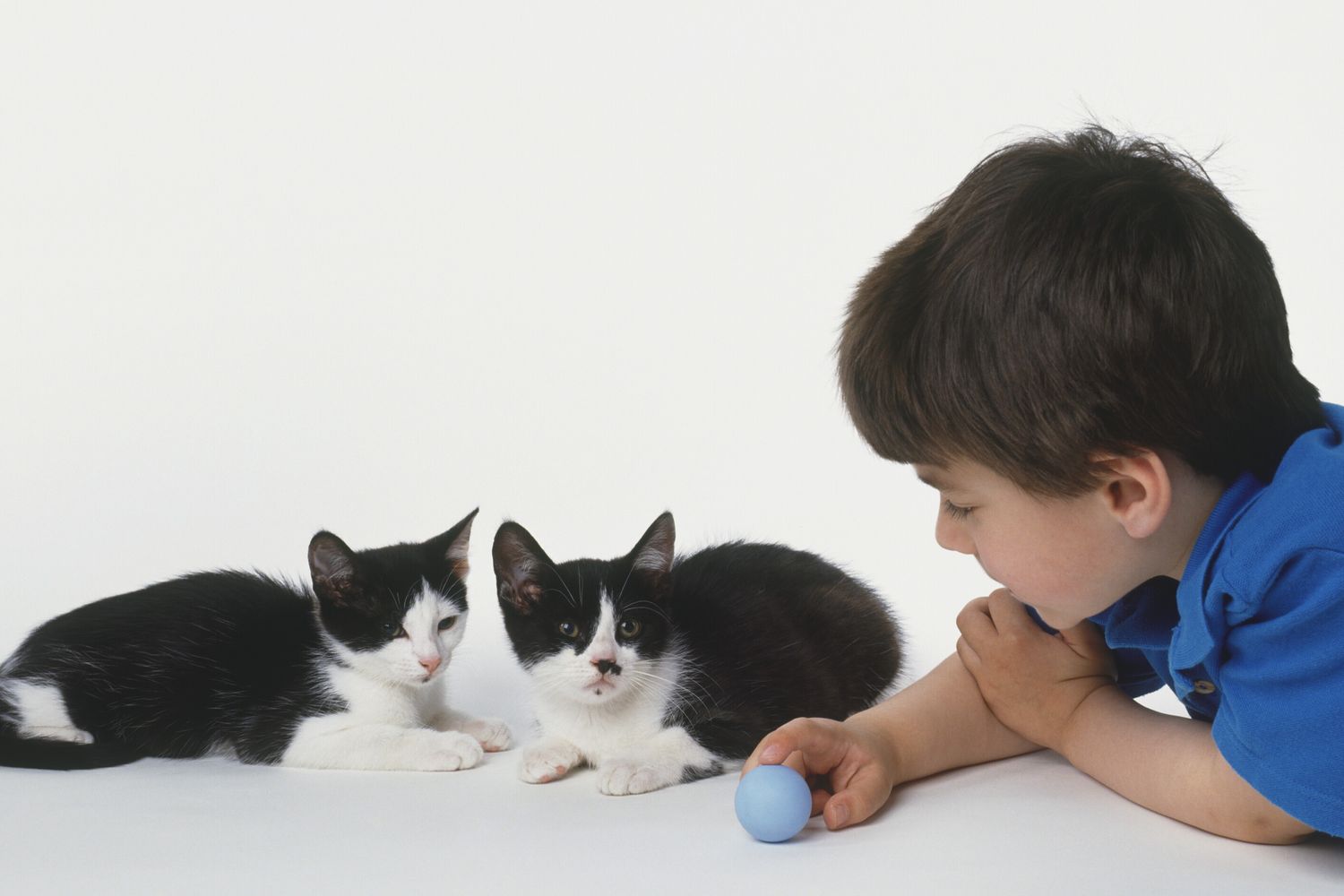 I gatti non peggiorano le allergie nei bambini
