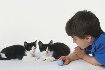 I gatti non peggiorano le allergie nei bambini
