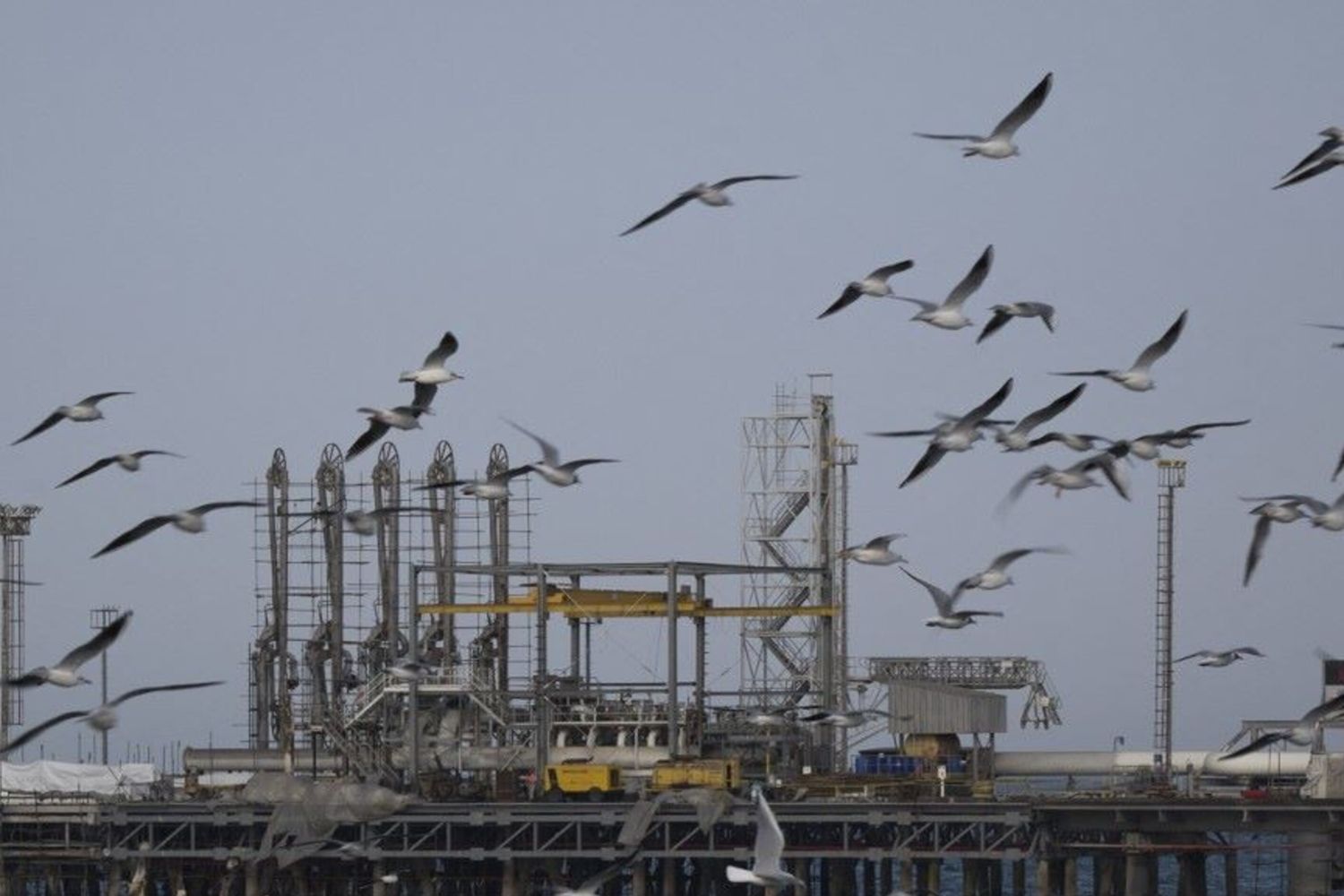 Il molo petrolifero di Kharg