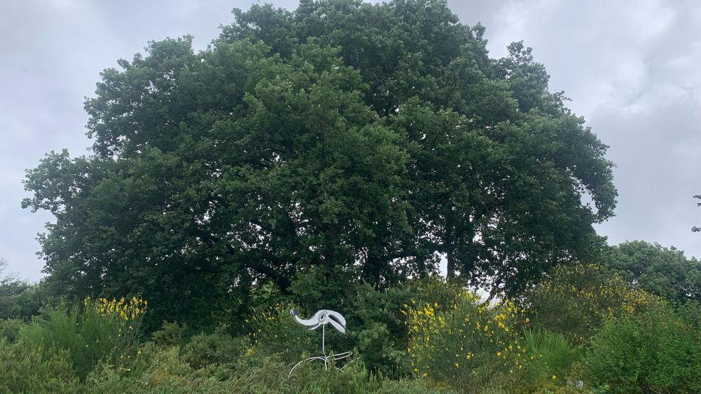 Opera in mostra a 'One Minute Tree Revisited 2026'