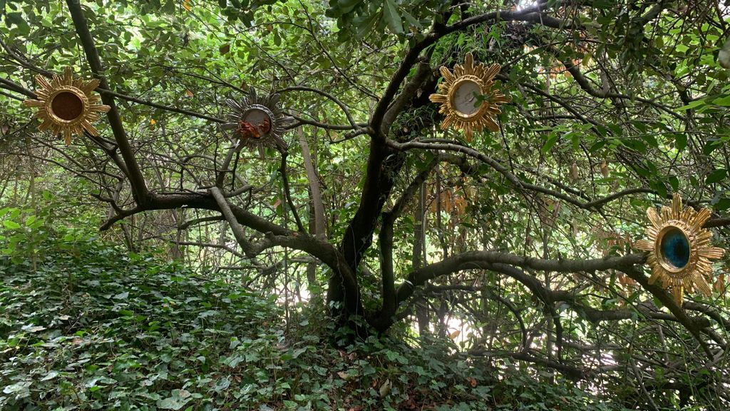 Opera in mostra a 'One Minute Tree Revisited 2026'
