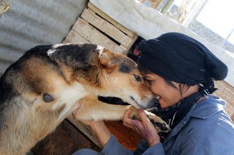 Cane e padrone