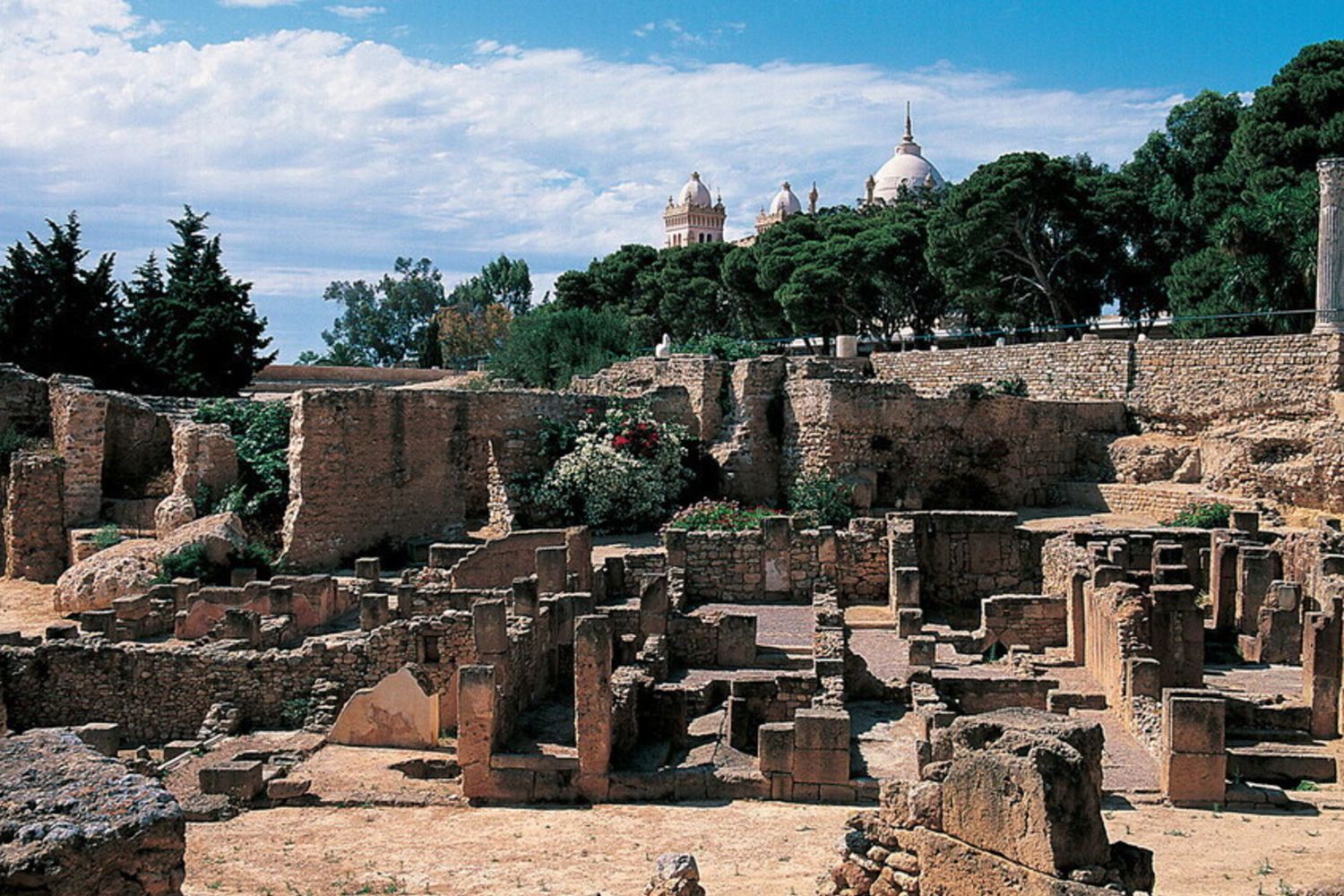 Italie-Tunisie: à Carthage l’archéologie au cœur d’un partenariat stratégique