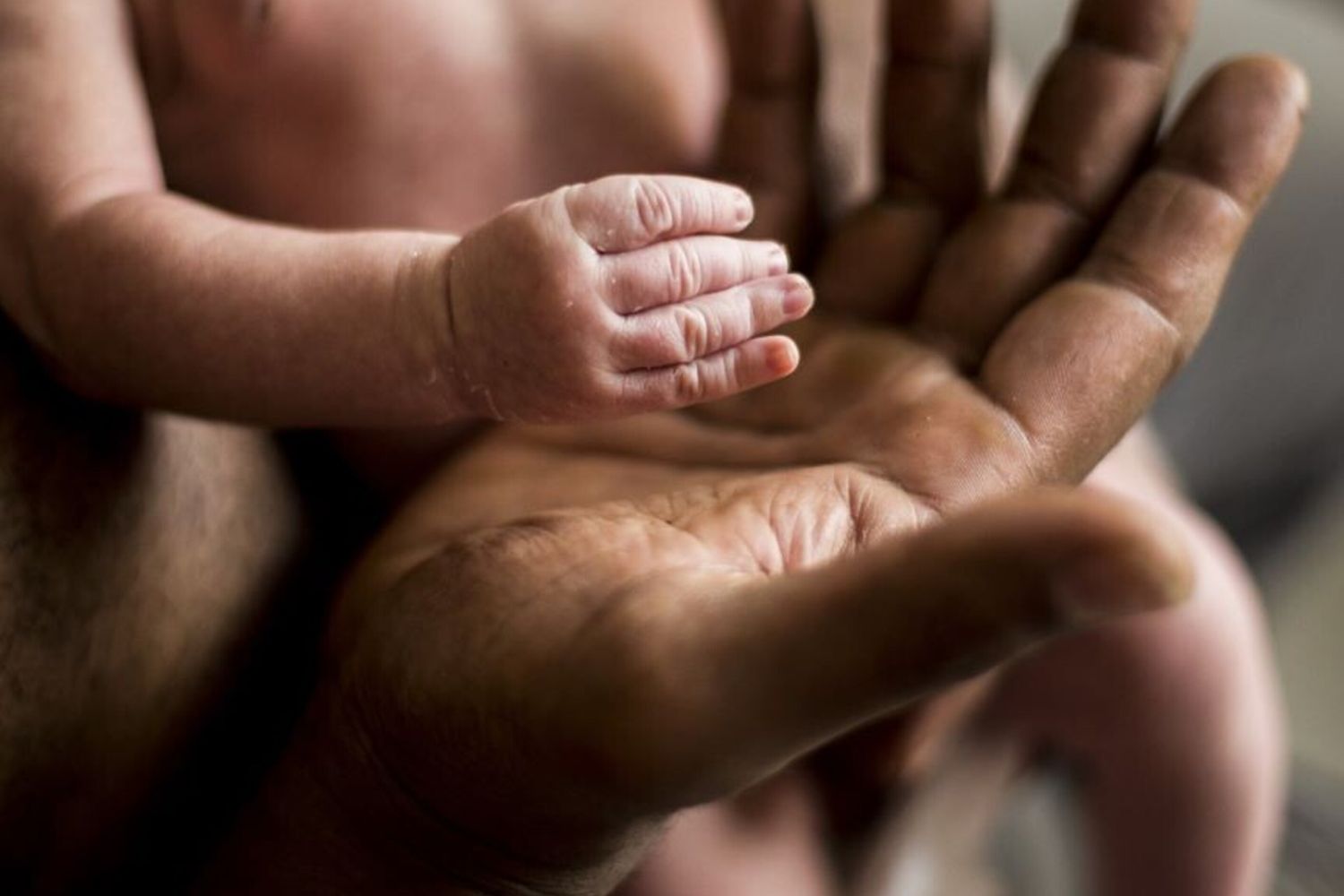 Padre e figlio