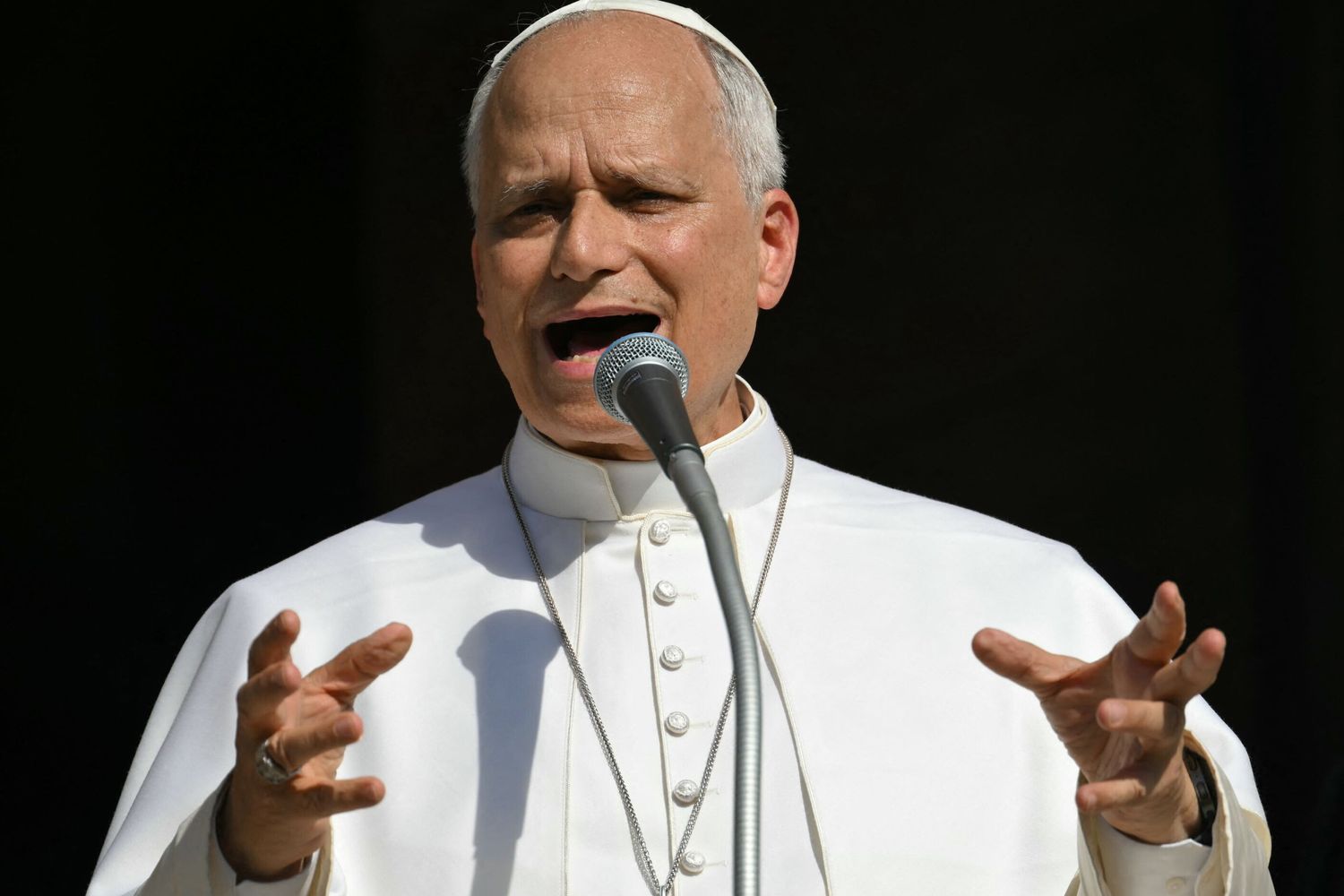 Papa Leone XIV a Pavia