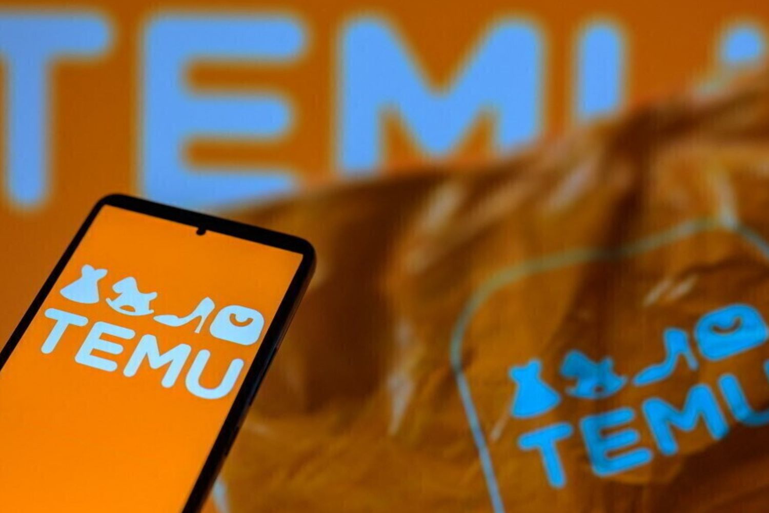 La piattaforma di e-commerce cinese Temu