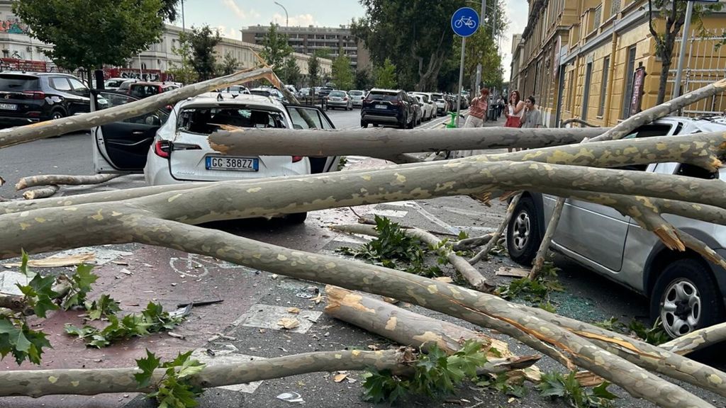 Auto distrutte dai rami di un platano in viq Ostiense