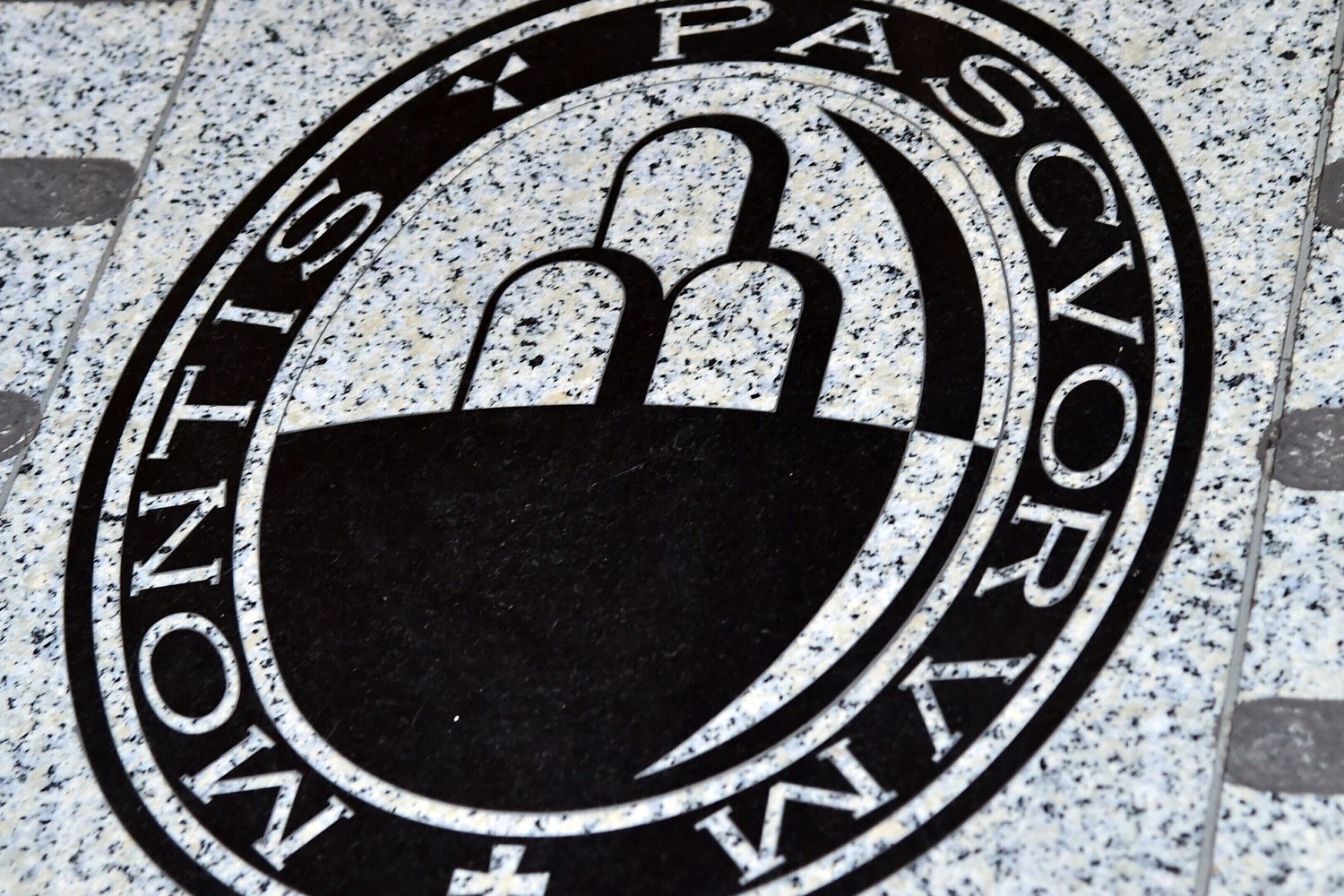 Mps, Monte Paschi Siena