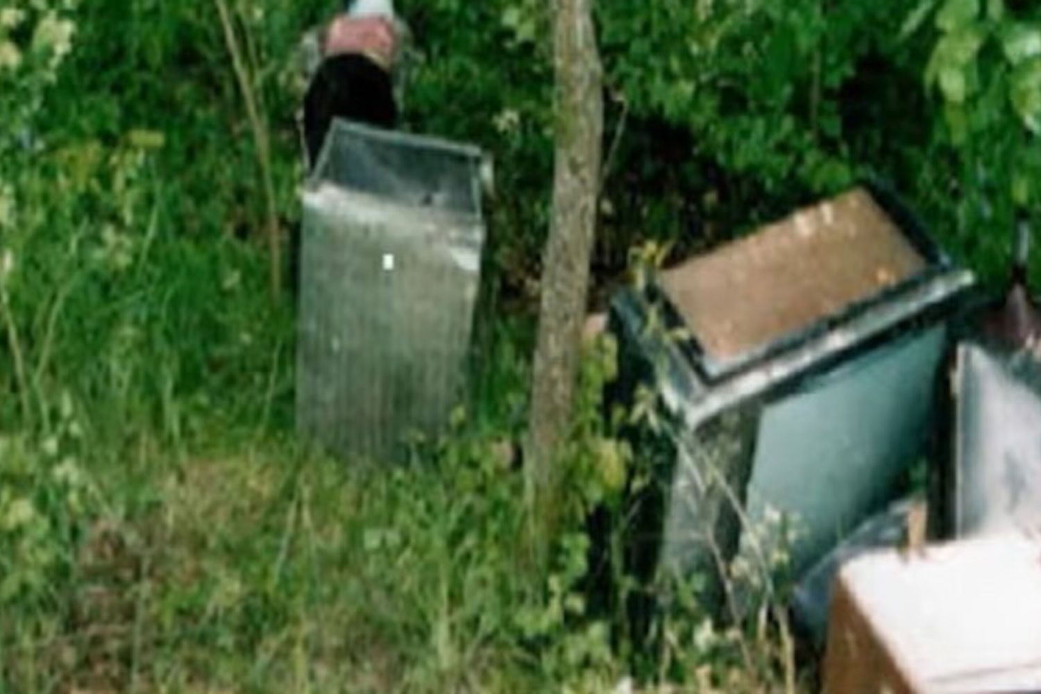Il corpo di Serena Mollicone ritrovato nel bosto di Fonte Cupa il 3 giugno 2001