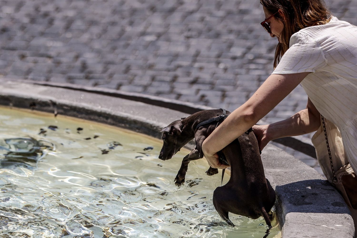 Attese temperature fino a 40 gradi. Nella foto una donna rinfresca il suo cane in una fontana di Piazza del Popolo