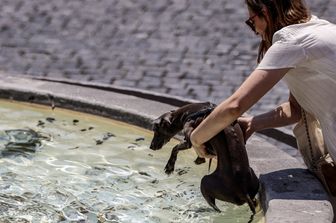 Attese temperature fino a 40 gradi. Nella foto una donna rinfresca il suo cane in una fontana di Piazza del Popolo