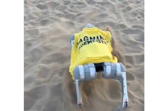 Flipper, il cane-robot bagnino