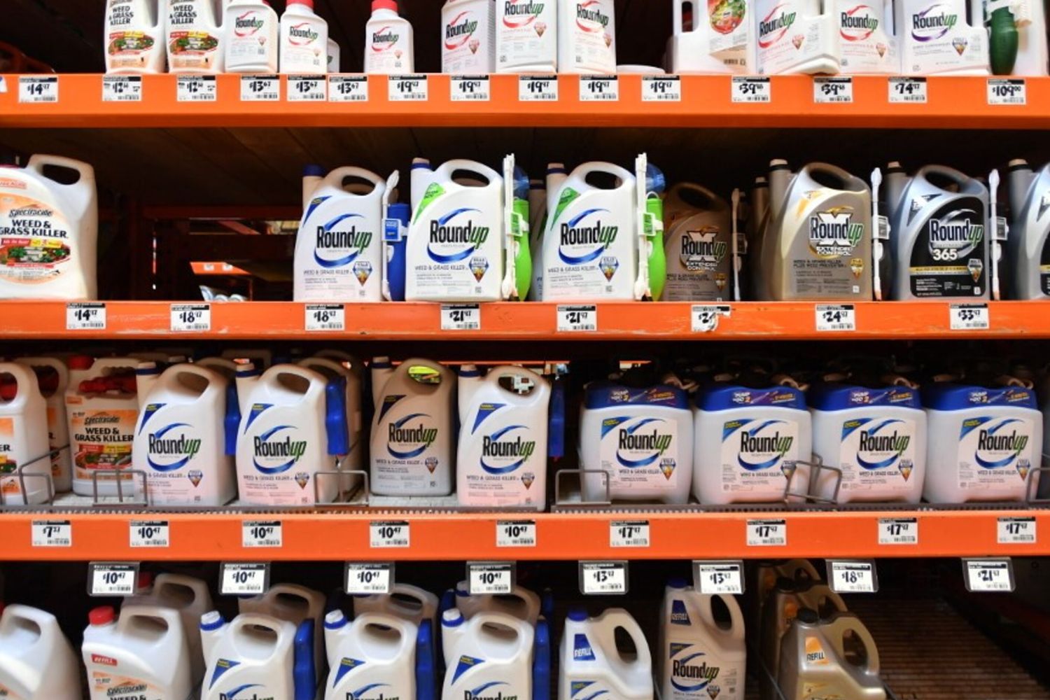 Caso Monsanto, una sentenza della Corte Suprema sta dividendo i trumpiani