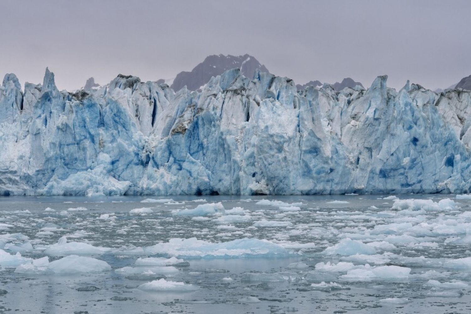 Il mistero del Cold Blob: l’unico luogo sulla Terra che si sta raffreddando