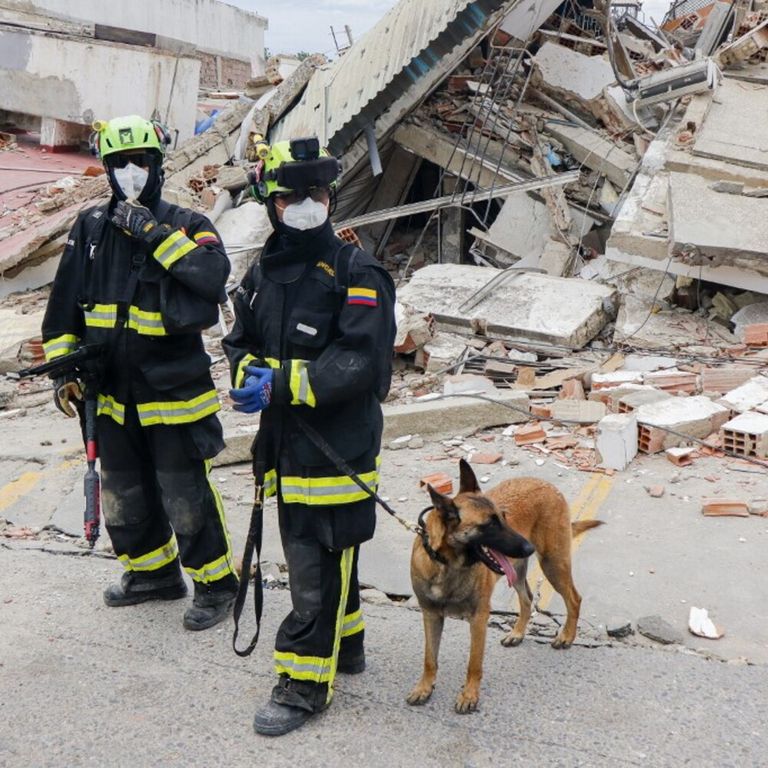 terremoto in venezuela