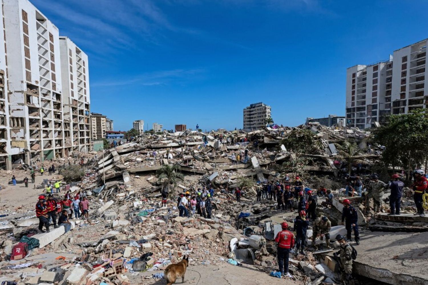 Ricerca tra le macerie di un edificio crollato a Caraballeda, nello stato di La Guaira, in Venezuela,