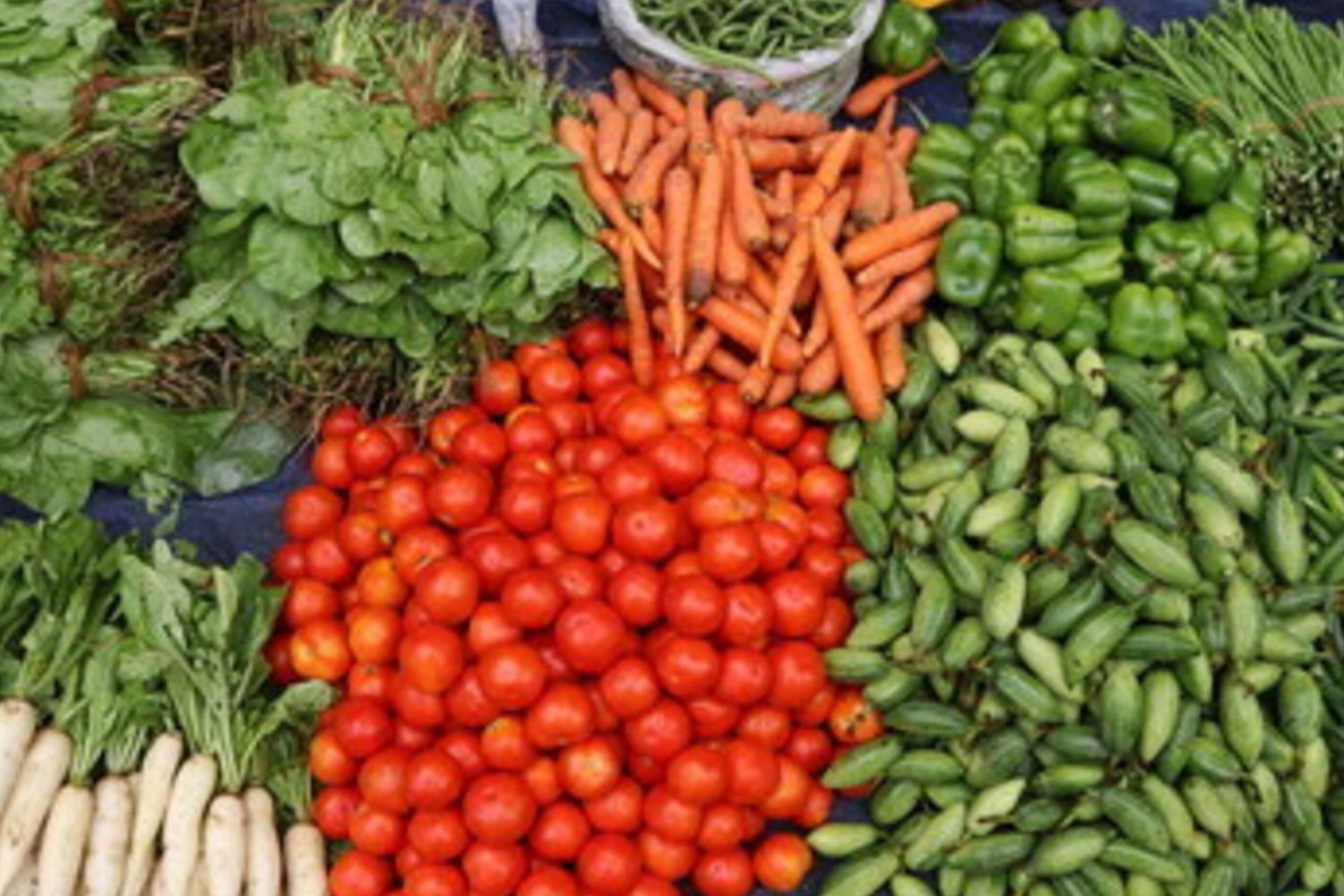 Dieta vegetale e EAT-Lancet: perchè ci guadagnano i reni