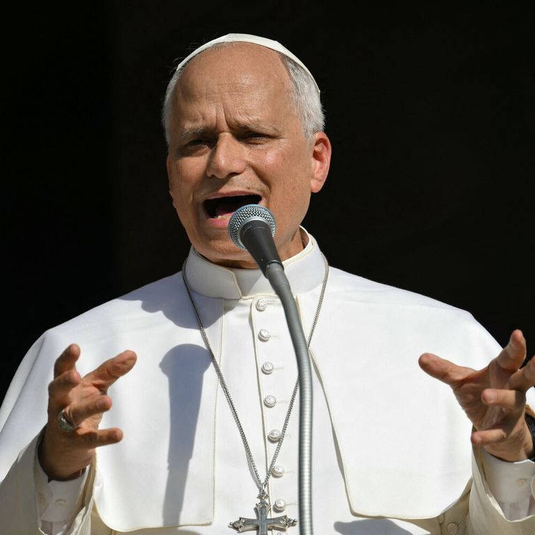 Papa Leone XIV a Pavia